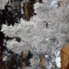 Рождественские приметы